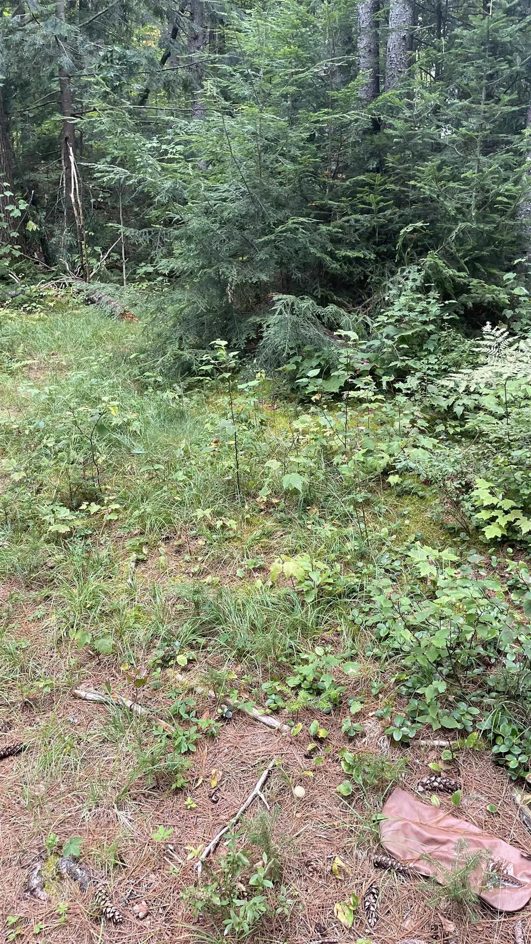 961 Maple Street Bethlehem NH 03574