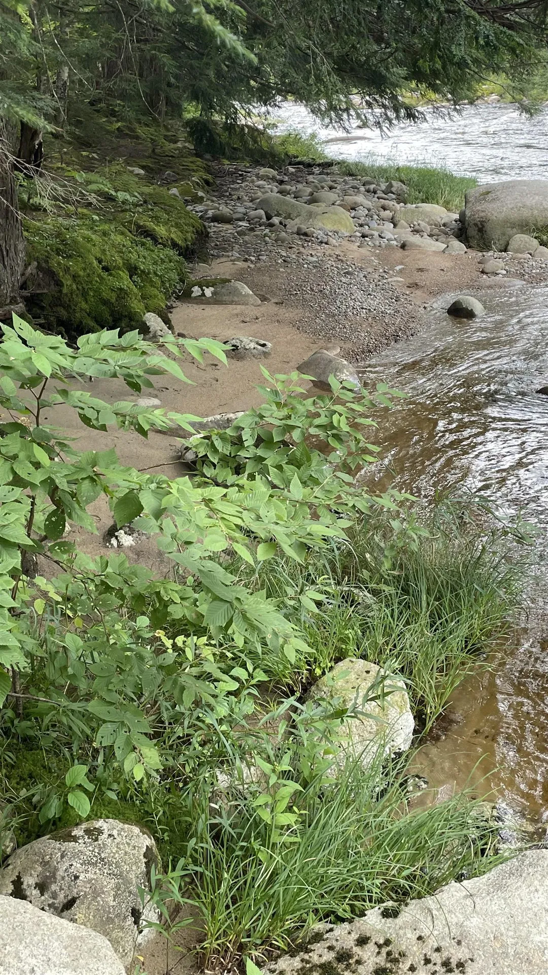 961 Maple Street Bethlehem NH 03574