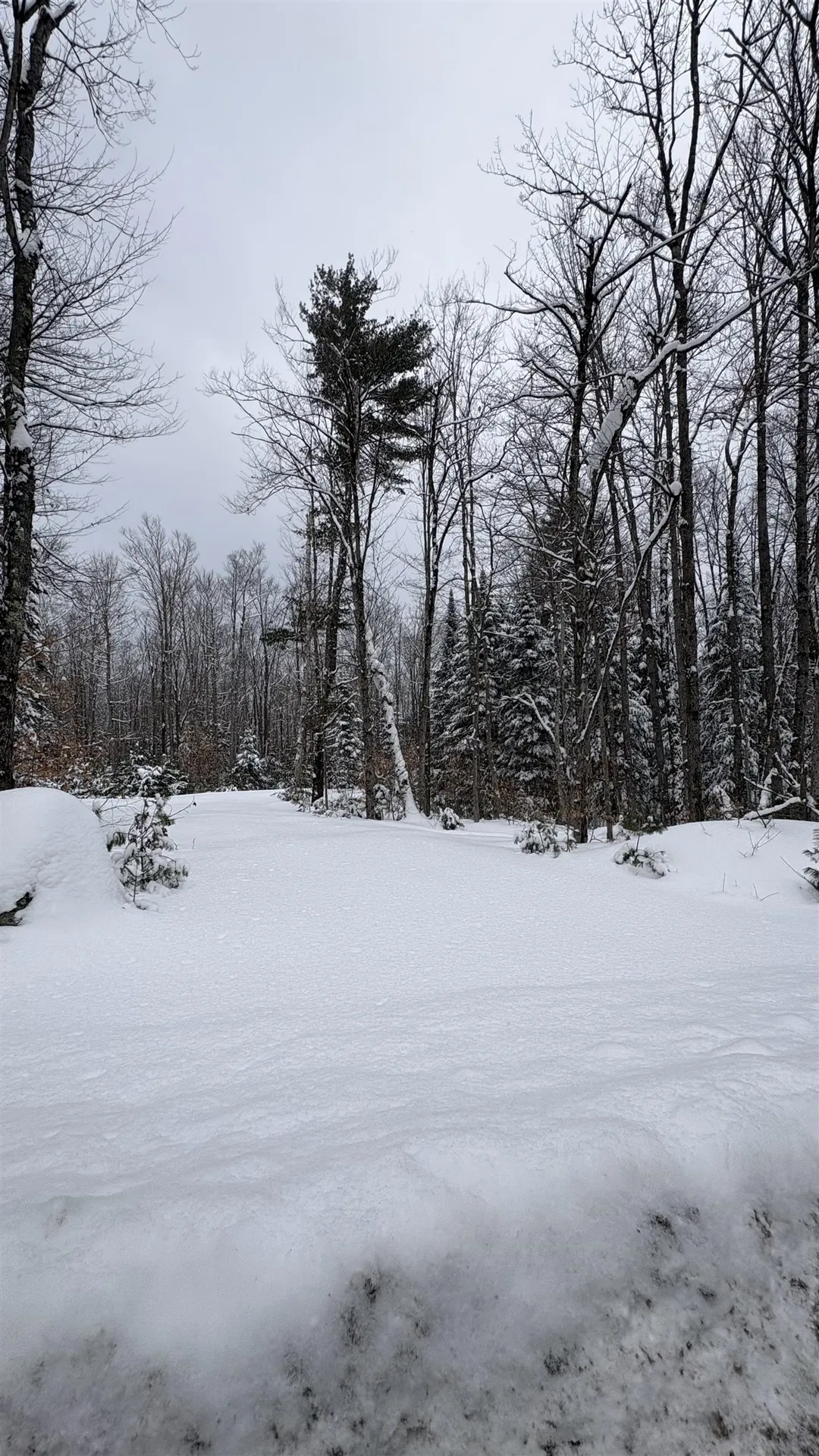 961 Maple Street Bethlehem NH 03574