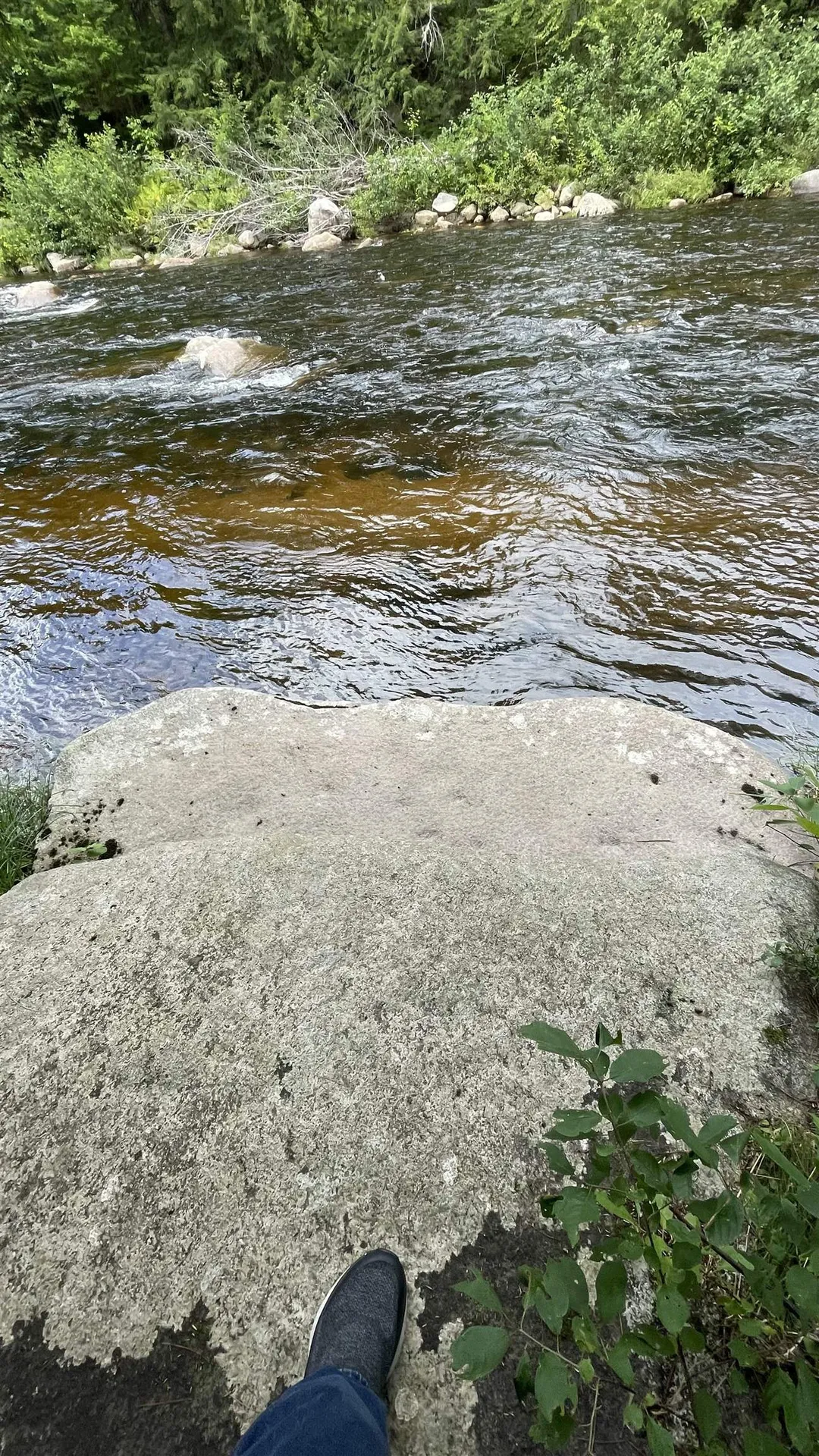 961 Maple Street Bethlehem NH 03574