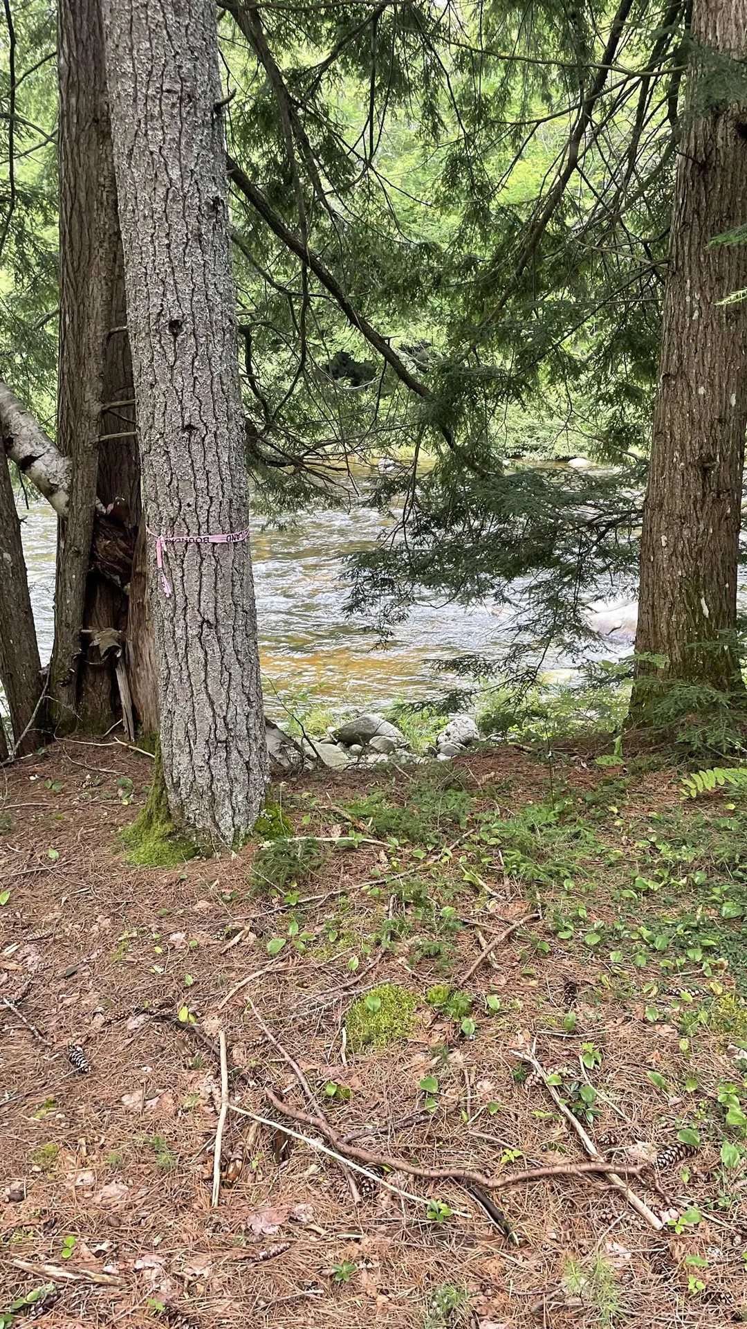 961 Maple Street Bethlehem NH 03574