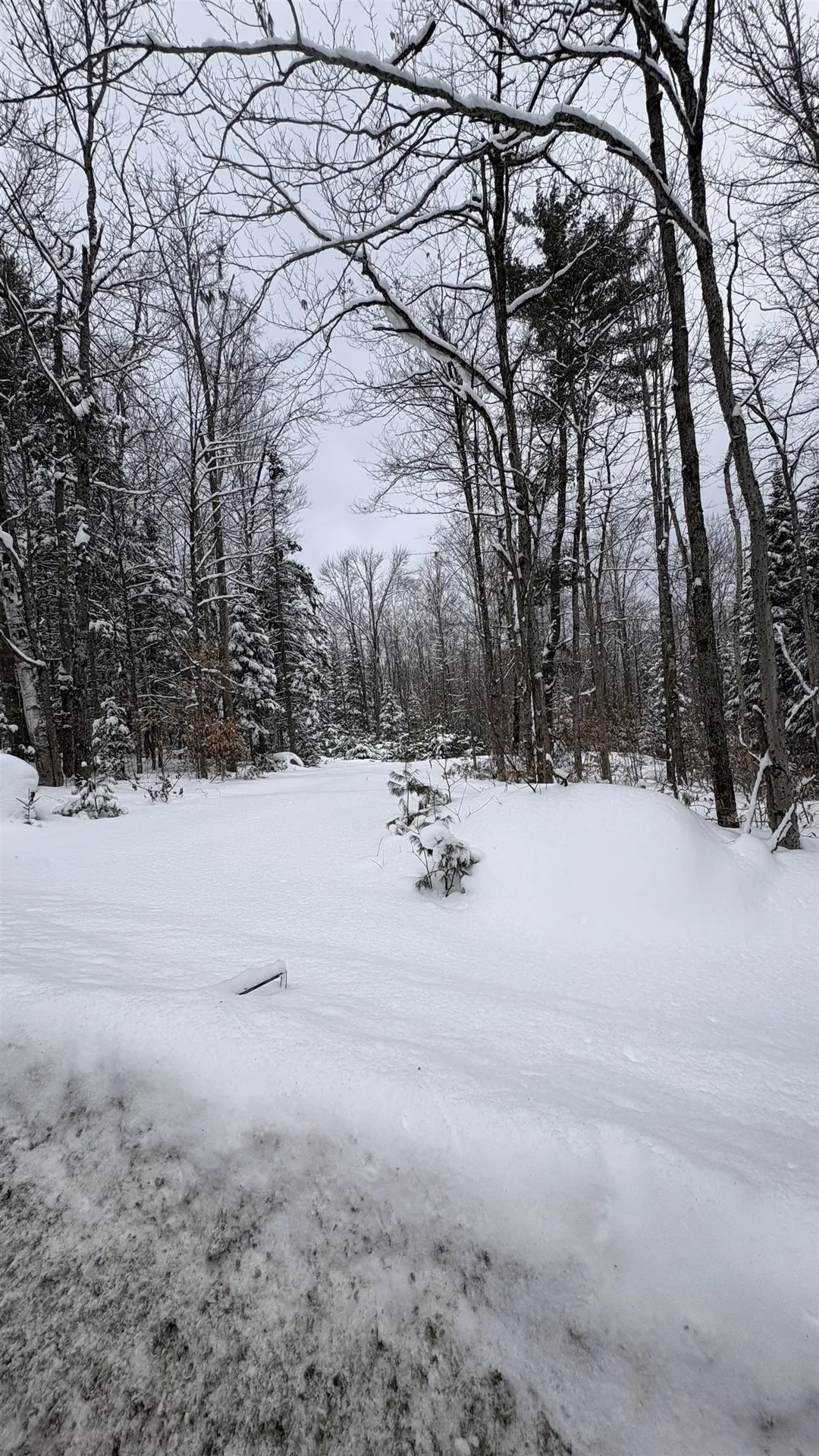 961 Maple Street Bethlehem NH 03574