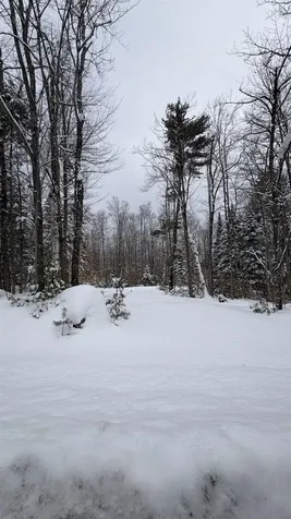 961 Maple Street Bethlehem NH 03574