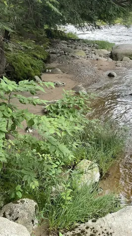 961 Maple Street Bethlehem NH 03574