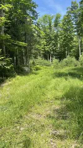 961 Maple Street Bethlehem NH 03574