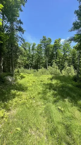 961 Maple Street Bethlehem NH 03574