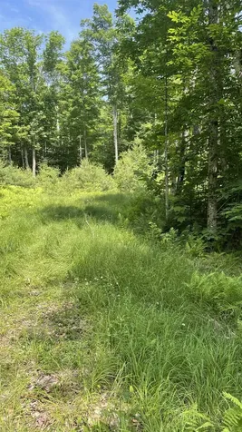 961 Maple Street Bethlehem NH 03574