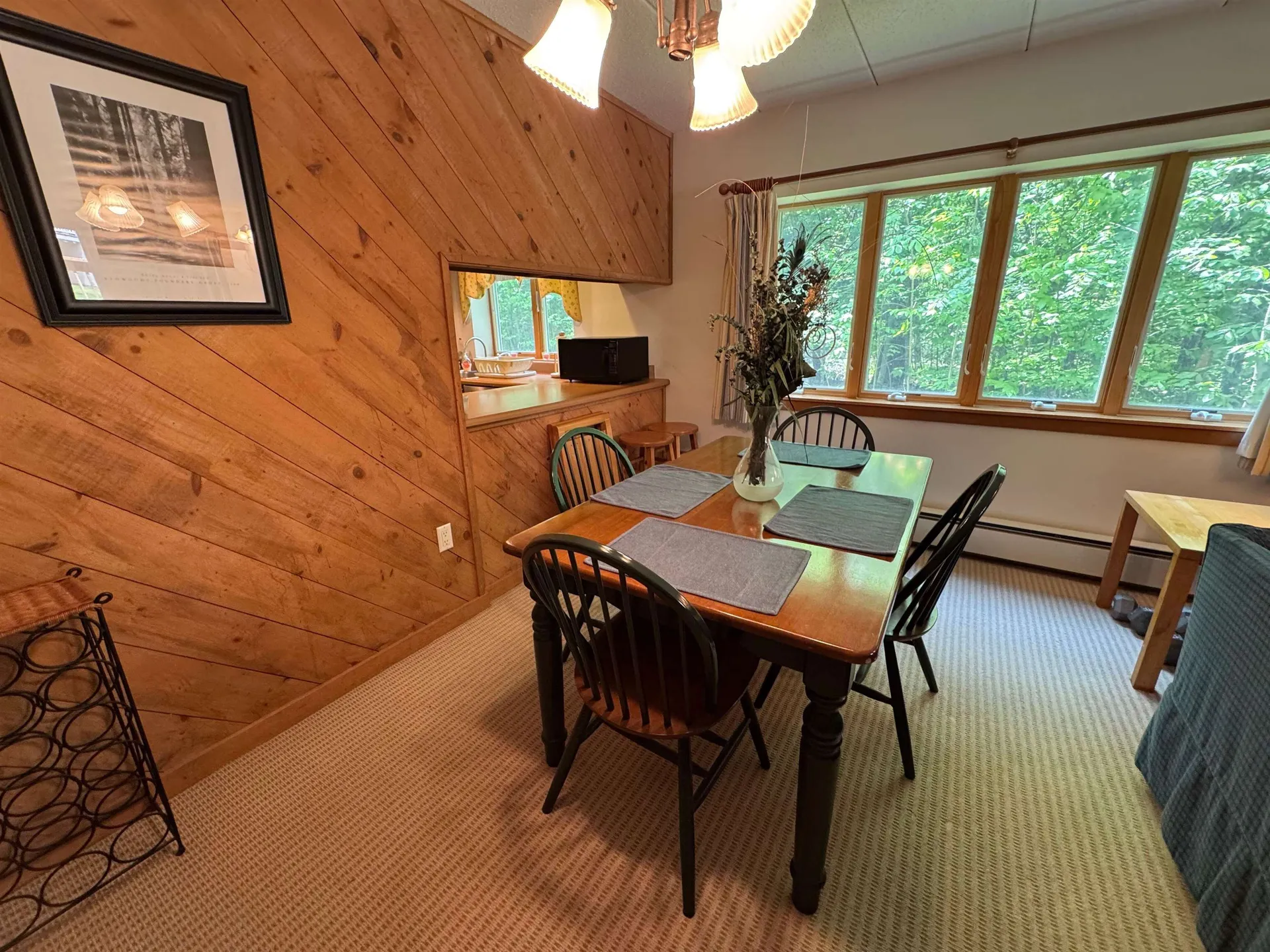 11F Snowtree Lane Dover VT 05356