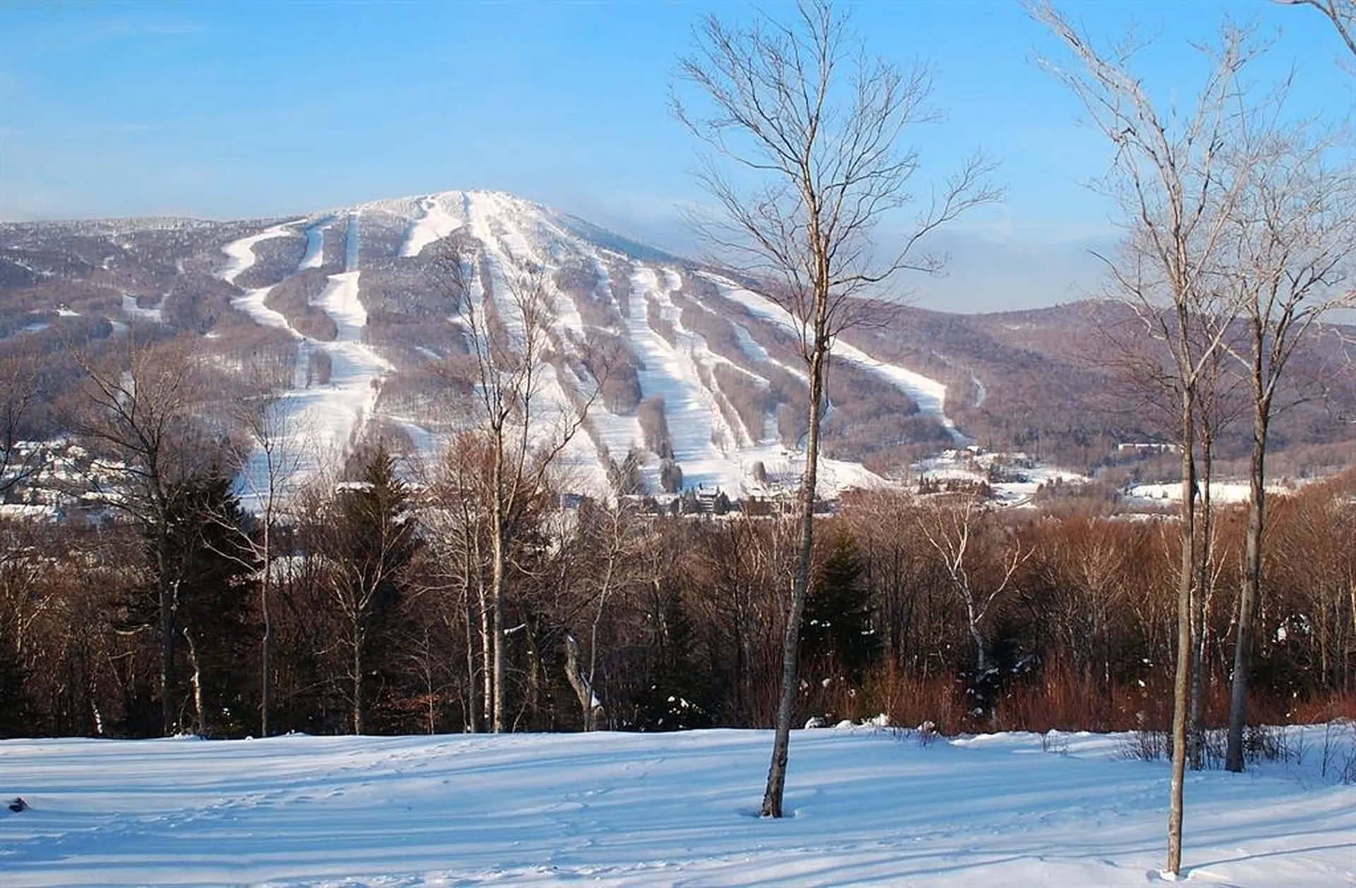 11F Snowtree Lane Dover VT 05356