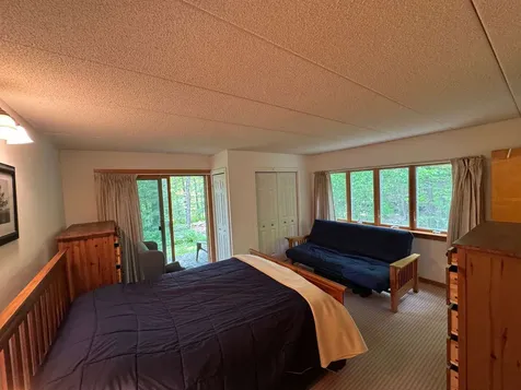 11F Snowtree Lane Dover VT 05356