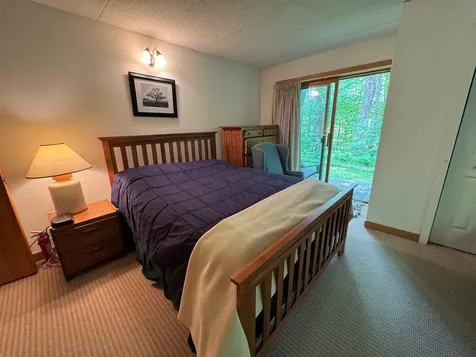 11F Snowtree Lane Dover VT 05356