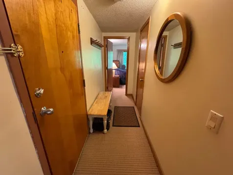 11F Snowtree Lane Dover VT 05356