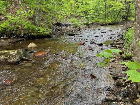 11F Snowtree Lane Dover VT 05356