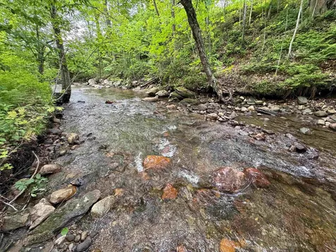 11F Snowtree Lane Dover VT 05356