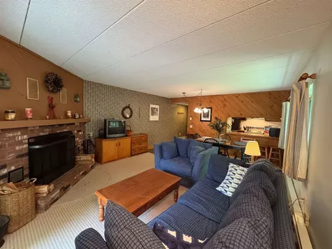 11F Snowtree Lane Dover VT 05356