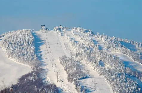 11F Snowtree Lane Dover VT 05356