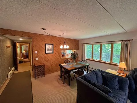 11F Snowtree Lane Dover VT 05356