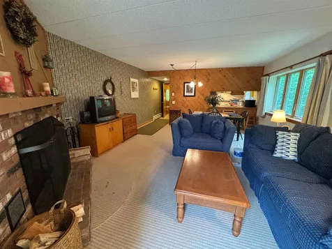 11F Snowtree Lane Dover VT 05356