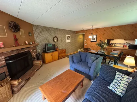 11F Snowtree Lane Dover VT 05356