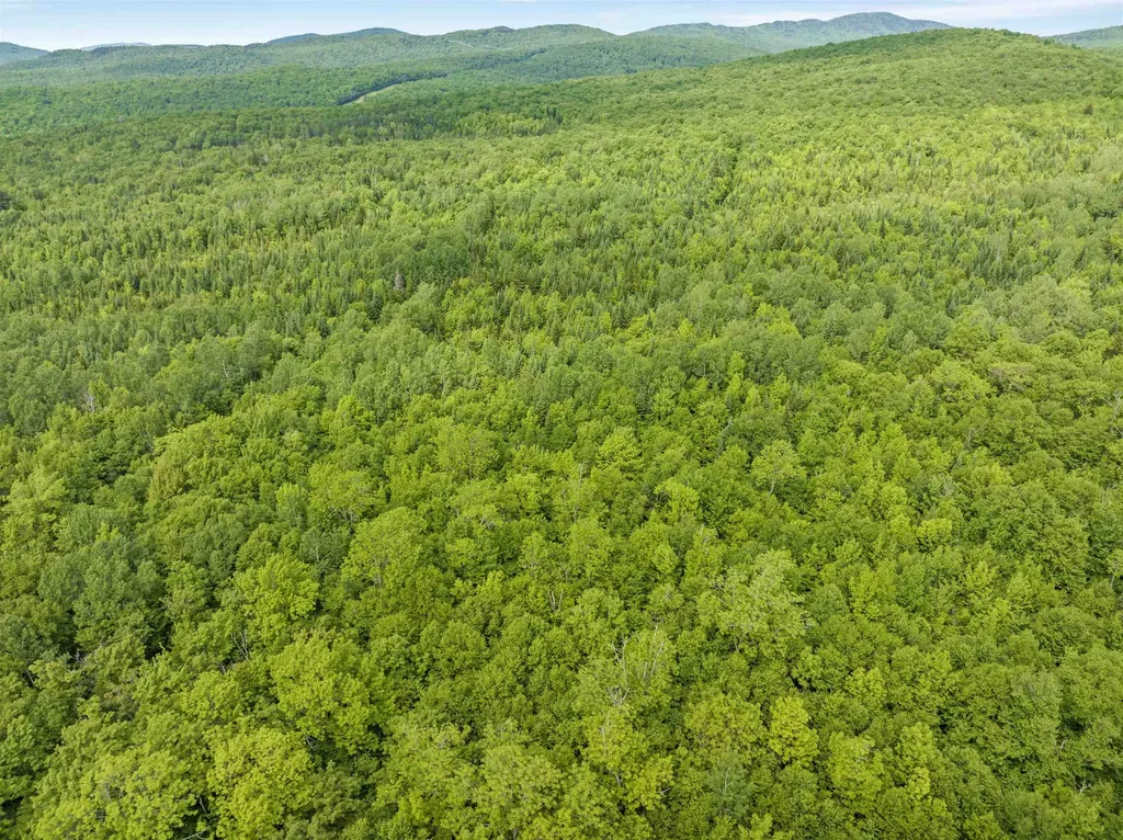 0 Tug Mountain Road Lunenburg VT 05906