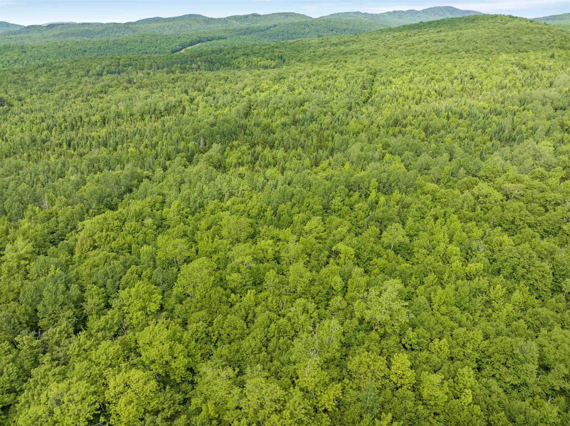 0 Tug Mountain Road Lunenburg VT 05906