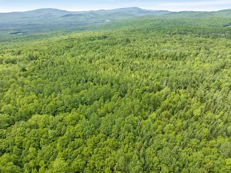 0 Tug Mountain Road Lunenburg VT 05906