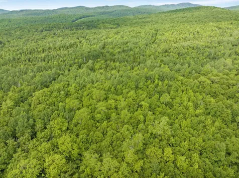 0 Tug Mountain Road Lunenburg VT 05906