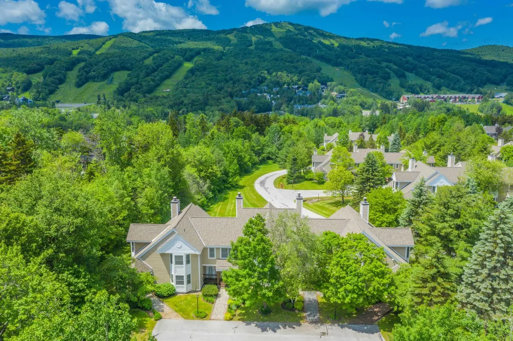 9d Dover Springs Lane Dover VT 05356