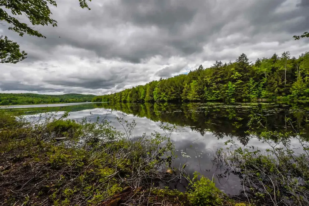 Lot X Tyanoga Road Whitingham VT 05361