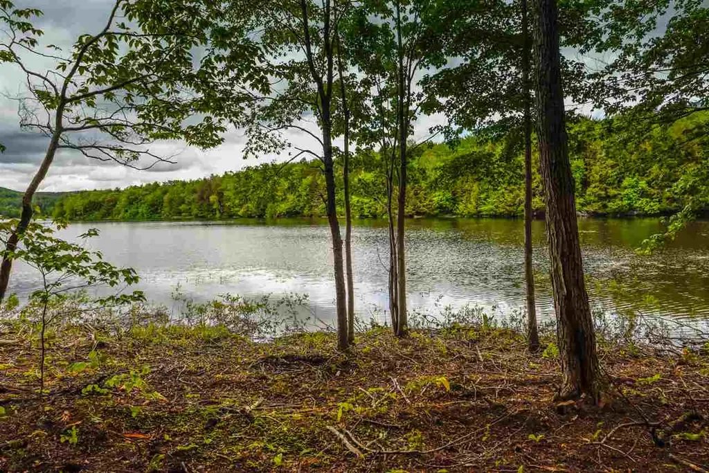 Lot X Tyanoga Road Whitingham VT 05361