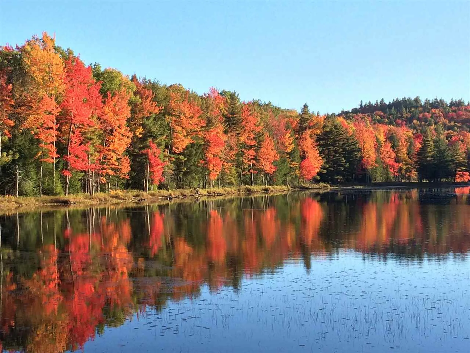 Lot X Tyanoga Road Whitingham VT 05361