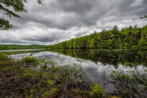 Lot X Tyanoga Road Whitingham VT 05361