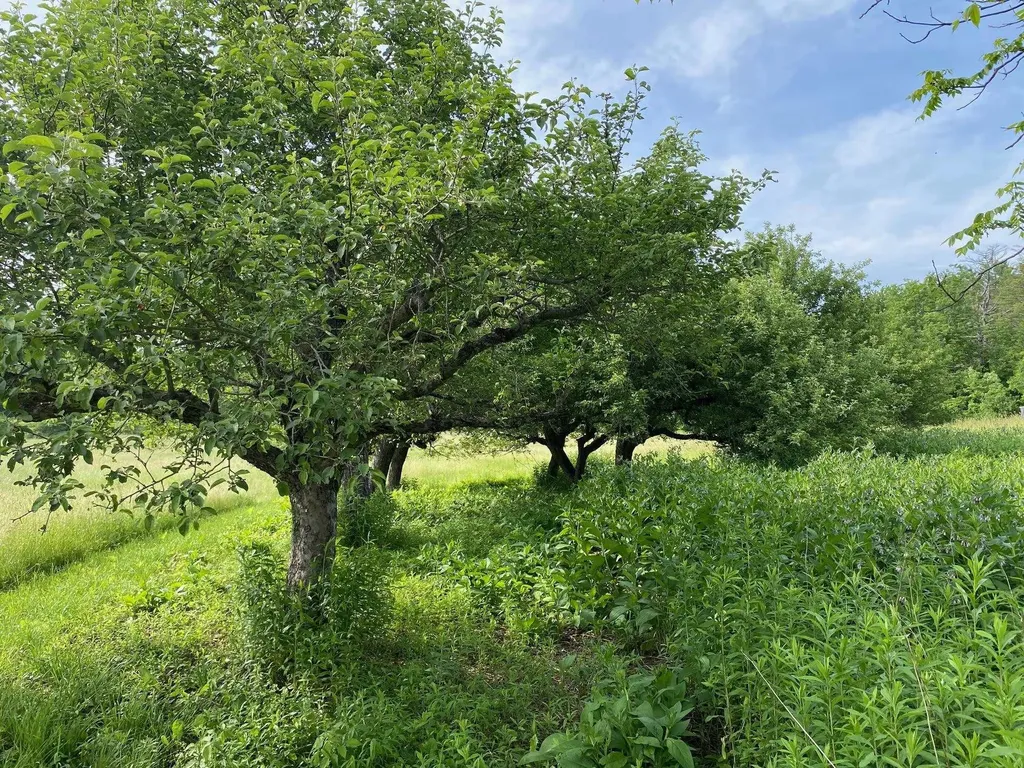 525 Route 103 N Chester VT 05143