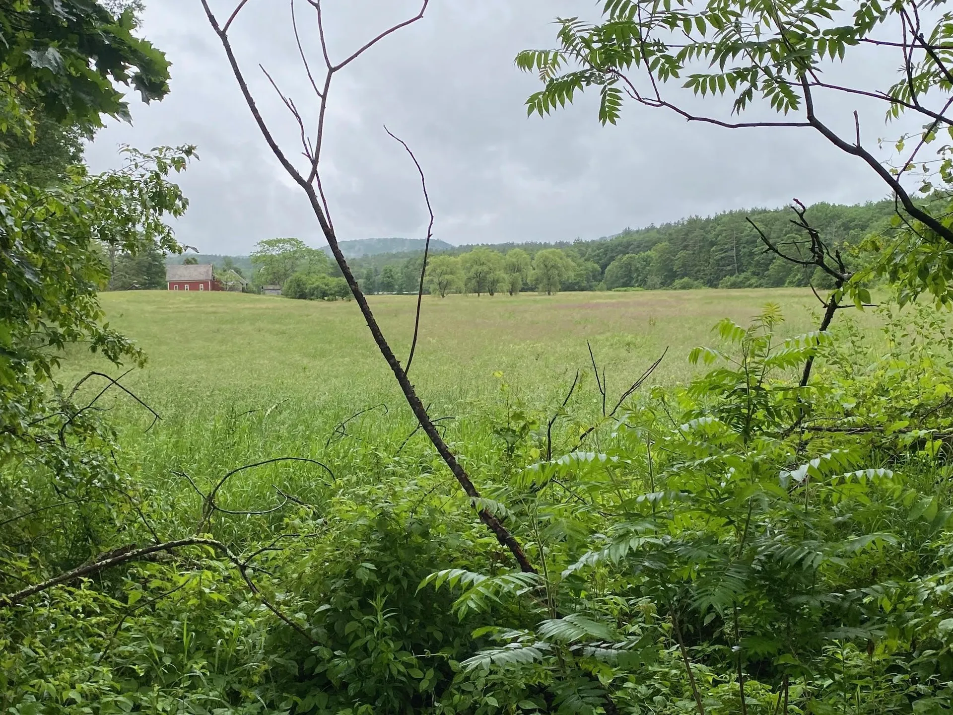 525 Route 103 N Chester VT 05143