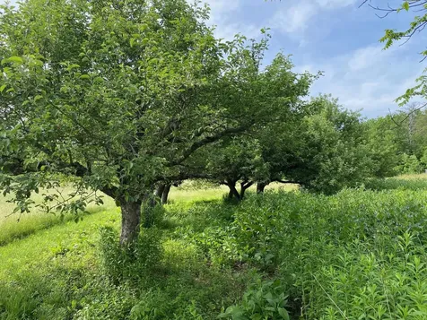 525 Route 103 N Chester VT 05143