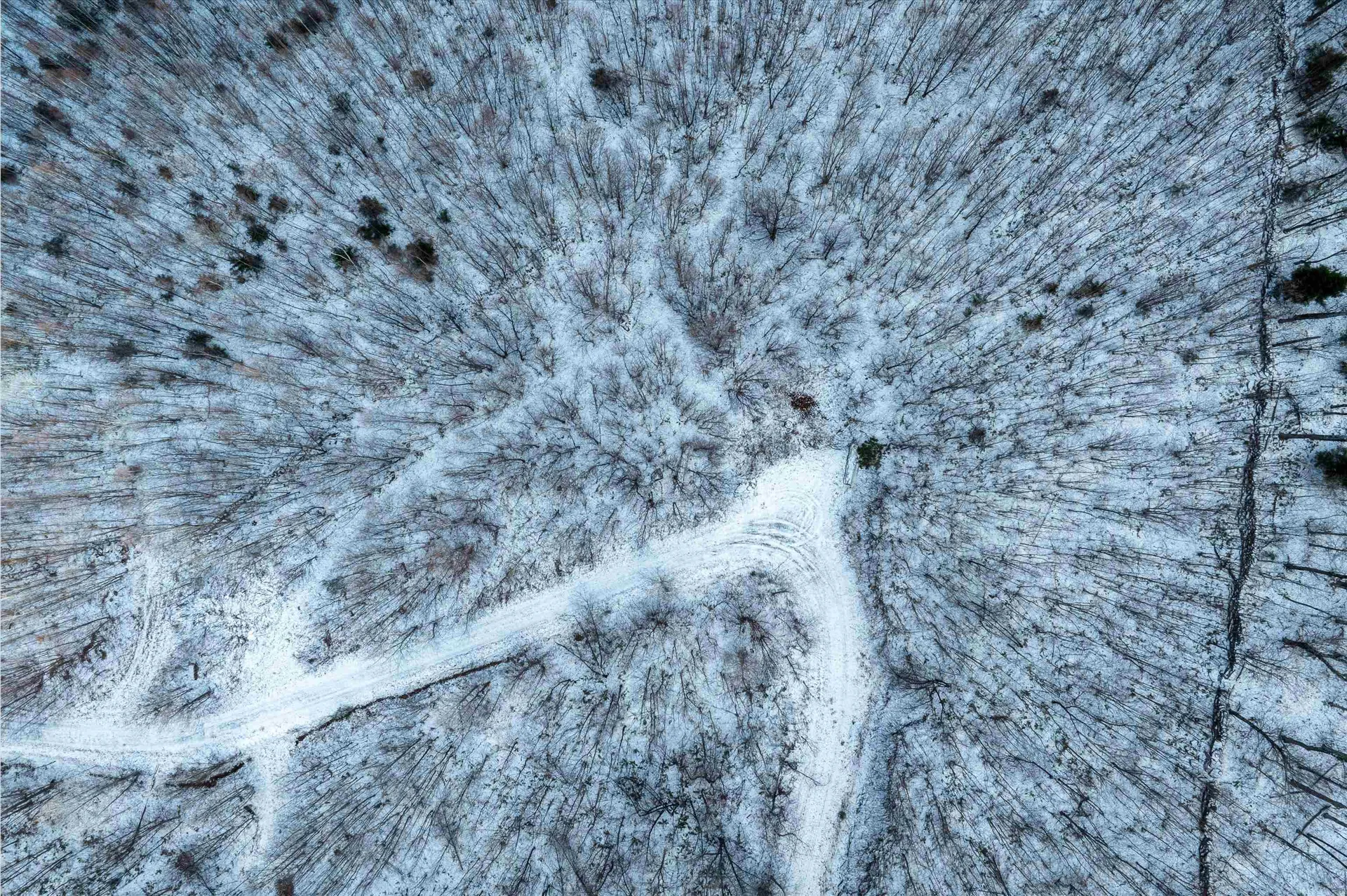 0 Higley Hill Road Dover VT 05356