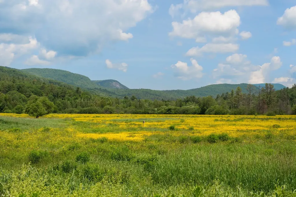 352 Lake Tarleton Road Warren NH 03279
