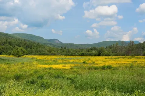 352 Lake Tarleton Road Warren NH 03279