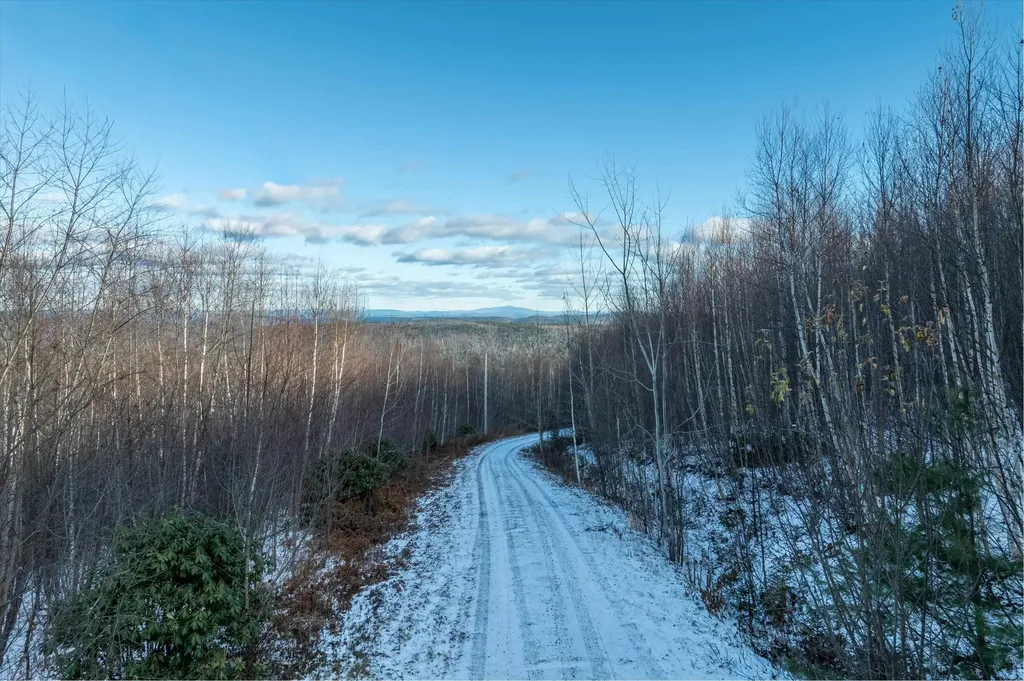 0 Higley Hill Road Dover VT 05356