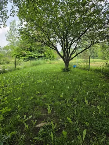 142 Sugar Plum Court Randolph VT 05060