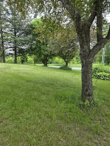 142 Sugar Plum Court Randolph VT 05060