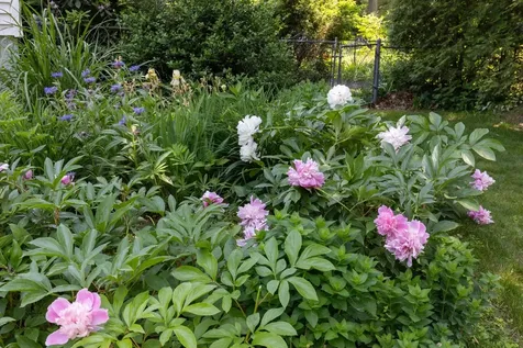 136 Red Oak Drive Colchester VT 05446