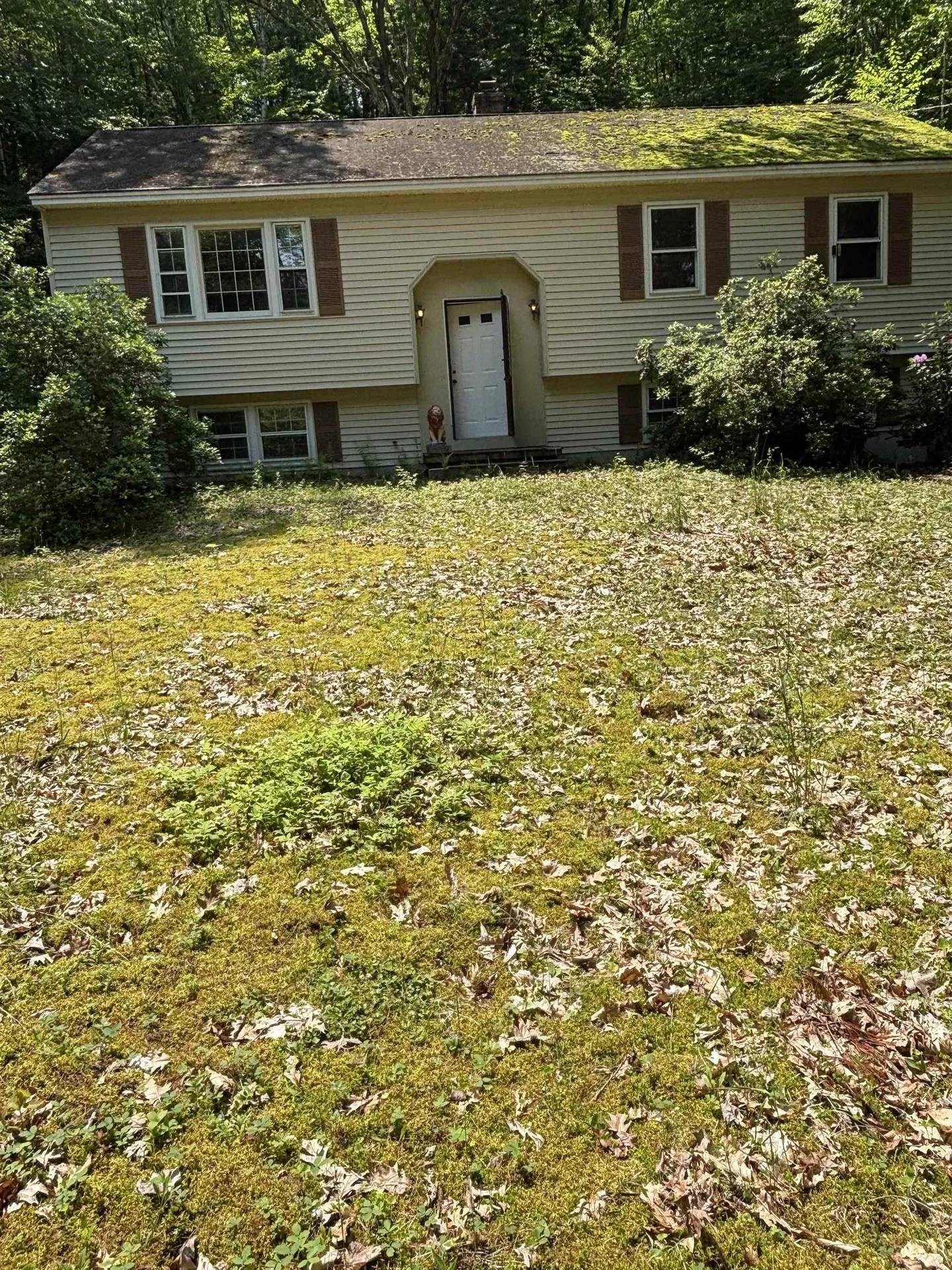 178 Partridgeberry Lane Swanzey NH 03446-3707