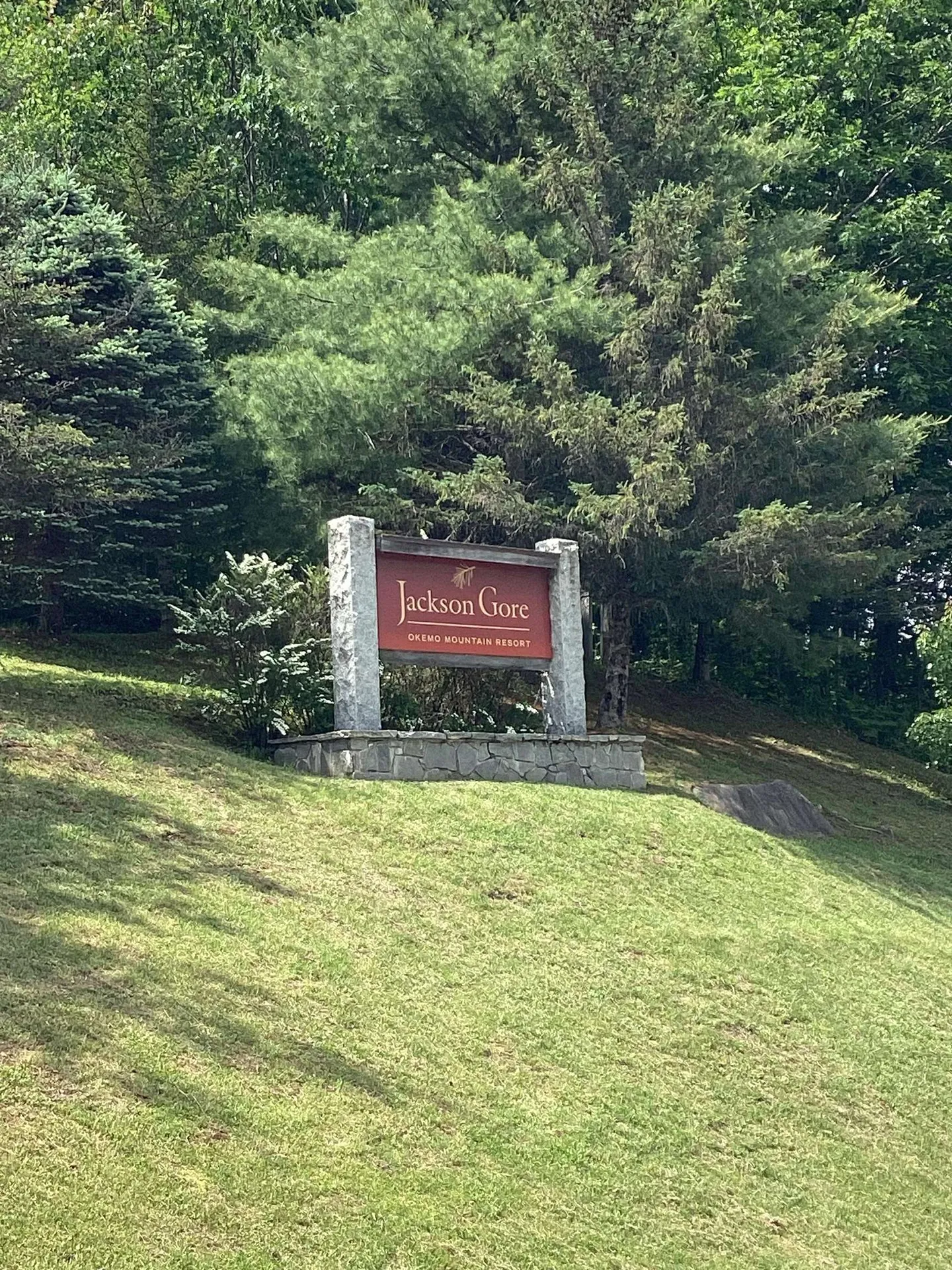 491 Alpine Drive Mount Holly VT 05758