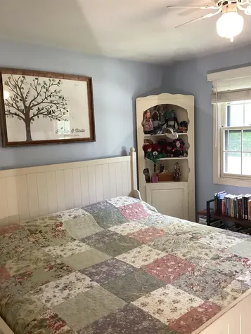 491 Alpine Drive Mount Holly VT 05758