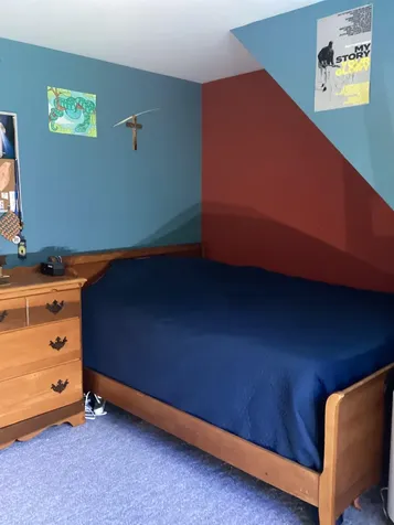491 Alpine Drive Mount Holly VT 05758
