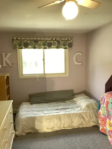 491 Alpine Drive Mount Holly VT 05758