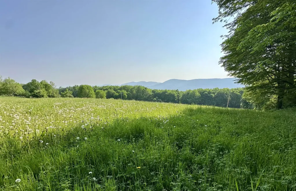 2500 Colvin Hill Road Danby VT 05739