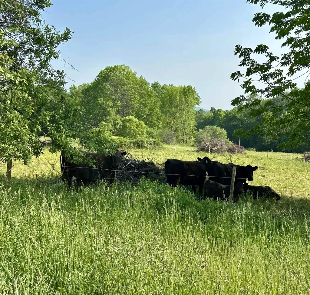 2500 Colvin Hill Road Danby VT 05739