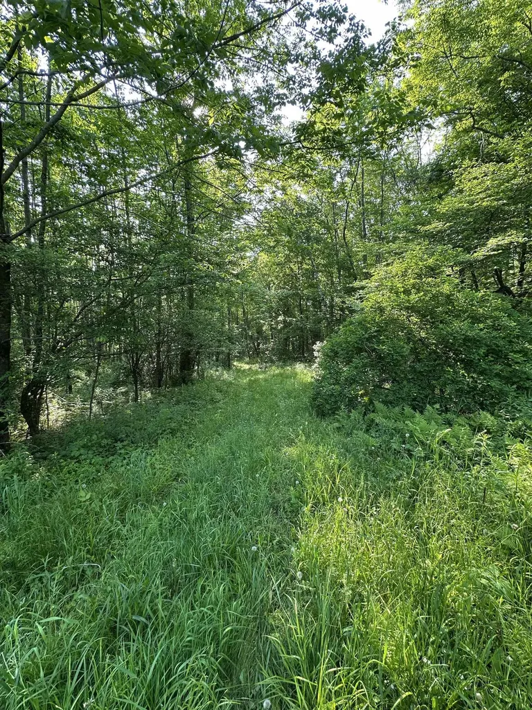 2500 Colvin Hill Road Danby VT 05739